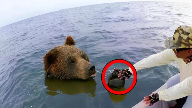 Bear Begs Fisherman For Help -  Turns PALE When Realizing Why!