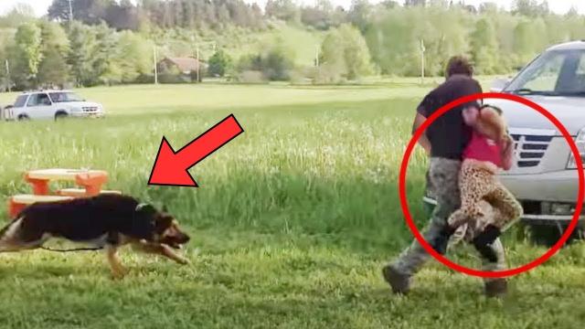 Man Tries to Kidnap Boy, But His Dog Leaps Into Action And Stops Him