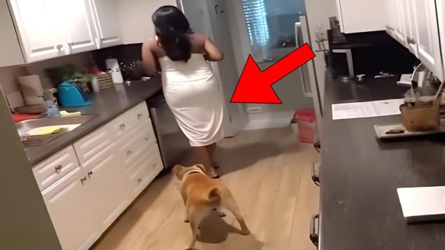 Housekeeper Had No Idea She Was Being Filmed - What Owner Captured Was Terrifying