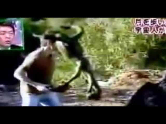 Alien-like creature attacks tourist in Japan
