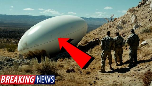 BREAKING UFO NEWS! THE WORLD REACTS TO NEW EGG SHAPED UFO VIDEO!