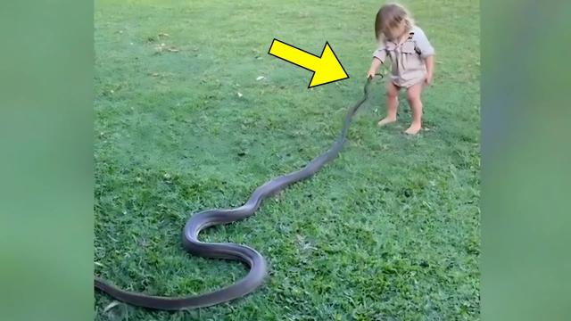 Girl Was Bitten by a Cobra—Doctors Couldn’t Believe Their Eyes When She Arrived