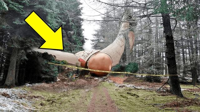 Hiker Finds Abandoned Rocketship Fell From Space - Experts Turn Pale After Seeing What's Inside