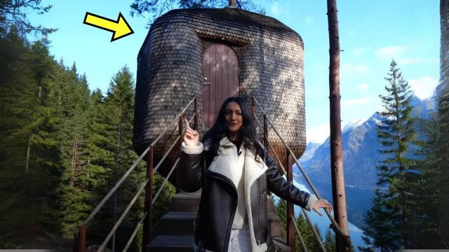 Woman Lives in a Tree House - Don't Judge Until You See The Inside