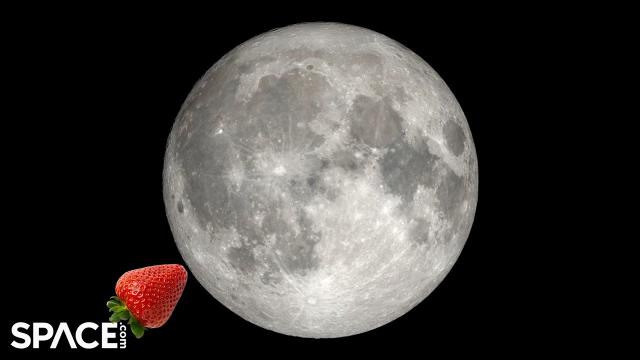 Strawberry Moon shines in June 2024