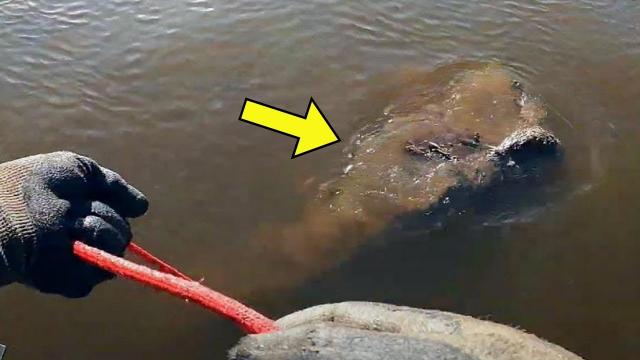 Boy Finds Strange Buried Rope, But When He Pulls It The Unimaginable Happens!