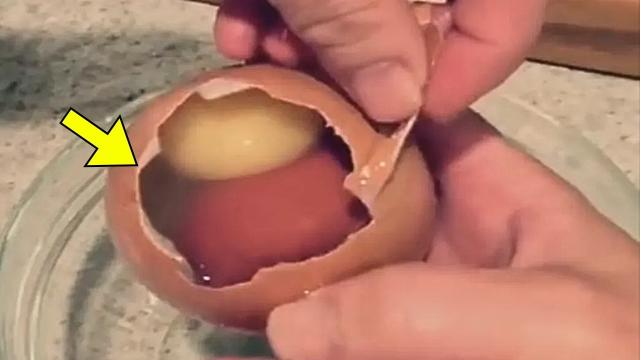 Farmer Loses His Mind After Looking Inside A Colossal Chicken Egg