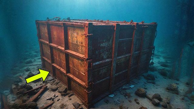 Underwater Robot Captures Sunken Container, Researchers Turn Pale When They Open It