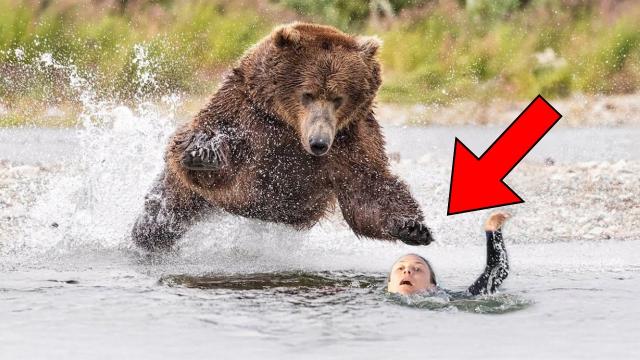 Drowning Woman Cries for Help – You Won’t Believe What This Bear Did!