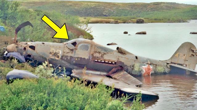 Decades Later, Lost Plane Is Discovered – The Contents Inside Astonish the Researchers