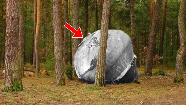 Hiker Sees Strange Object In Forest - He Is Astonished When He Looks Inside