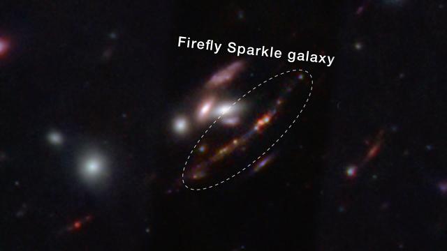 James Webb Space Telescope captures the ancient 'Firefly Sparkle' galaxy,