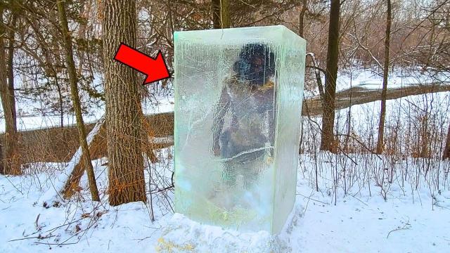 Man Finds Frozen Object In Forest, Expert Is Shocked When Examining It