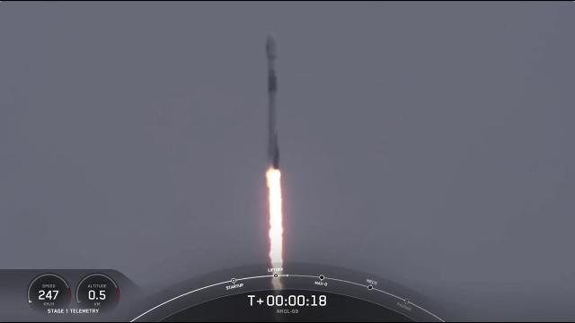 Blastoff! SpaceX launches secret US spy satellite, nails landing in Florida