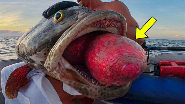 Fisherman Catches Huge Fish , But He Turns Pale When He Found This Inside it