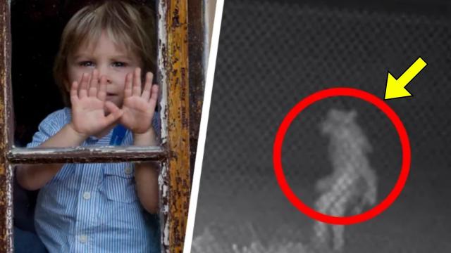 Boy Refuses To Go Outside - When Parents Ask Why, They Uncover Startling Secret