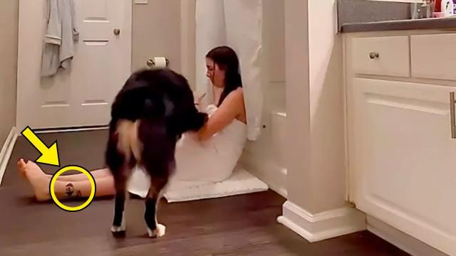 Wife Keeps Locking Herself In Bathroom With Dog Until Husband Notices Mark On Her Leg