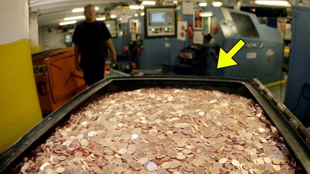 Man Cashes Out 45-Year Worth Of Pennies, Here's What He Got