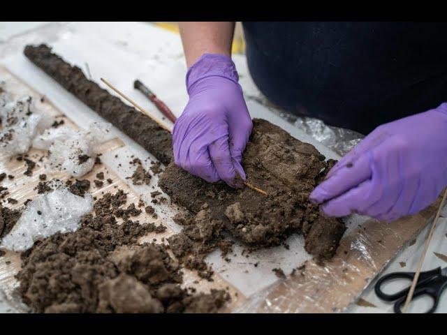 Preserved Bronze Age spade found during “Moors at Arne” excavation