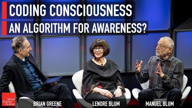 Coding Consciousness: An Algorithm for Awareness?