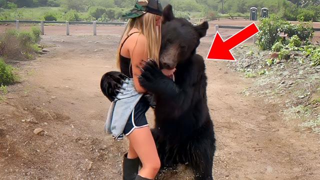 Bear Tries To Get Attention From Runner. When She Realizes Why, She Decides To Follow Him