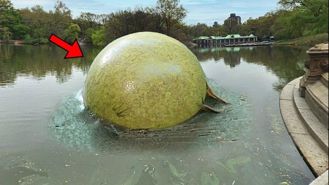 Man Spots Moving Bubble in Yard, Is Astonished by What Emerges