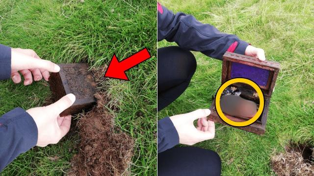 Couple Discovers Mysterious Box Buried in the Woods — What They Found Inside Left Them Speechless