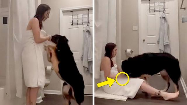 Wife Insists On Bringing Dog Into Shower With Her, Husband Plants Camera And Learns Why