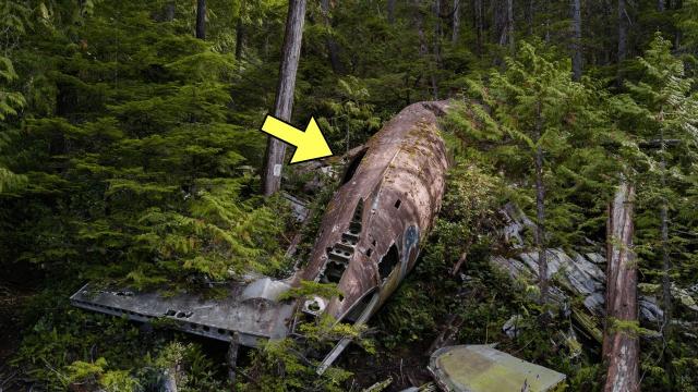 Man Finds Giant Rocket In Forest. He's Stunned When He Sees What's Inside