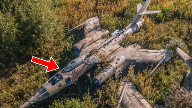 Man Finds Mysterious Aircraft Hidden in The Woods - He Turns Pale After Realizing What Happened