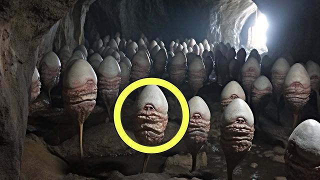 Scientists Found This In Cave - They're Stunned When They Discover What It Really Is
