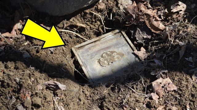 Couple Discovers Mysterious Box Buried In The Woods, Leaving Them Speechless