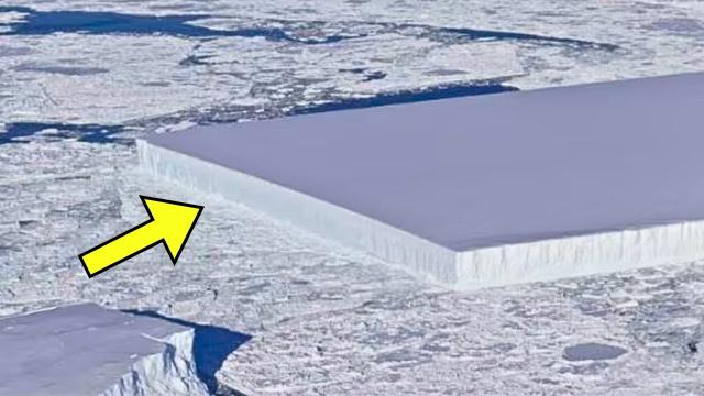 Scientists Discover Bizarre Shaped Iceberg. When They Realize What Is Underneath, They Turn Pale