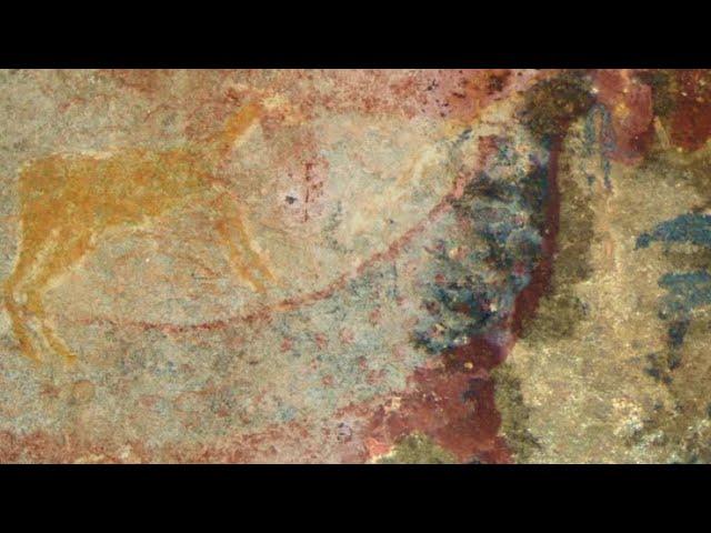 South African rock art of mystery creature 'strangely flexed like a banana' might be tusked reptile