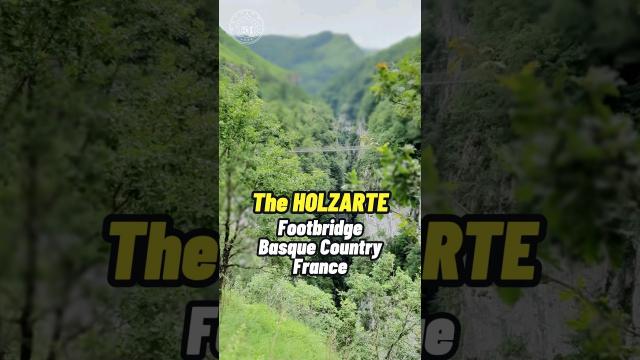 The Holzarte Footbridge - Basque Country #shorts #status