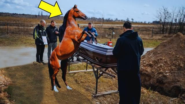 Horse Keeps Stepping On Coffin - Family Hears Crying When Lid Breaks