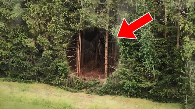 Hunter Finds Strange Hole In The Forest, He Screams When Realizing What It Leads To