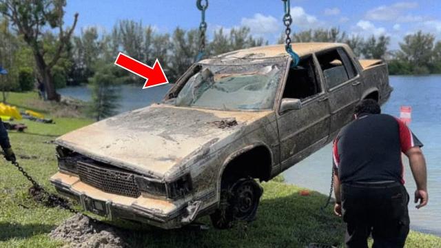 Woman Finds Her Stolen Car In Lake, Cries Out Loud When She Realizes What's Inside