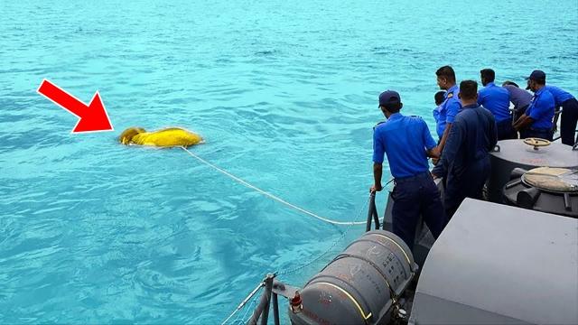 Sailors Saw Something Strange in The Water. When They Looked Closely, They Screamed in Horror!