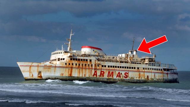 Marine Finds an Abandoned Cruise Ship—Calls for Backup After Discovering What’s Inside