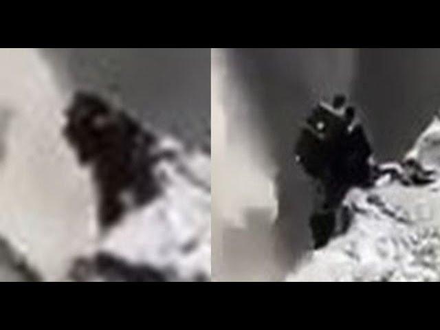 Creepy Small Dark Creature filmed at waterfall in Iceland