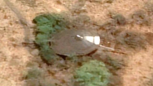 ALLEGED CRASHED UFO DISCOVERED IN SOUTH AFRICA USING GOOGLE EARTH?