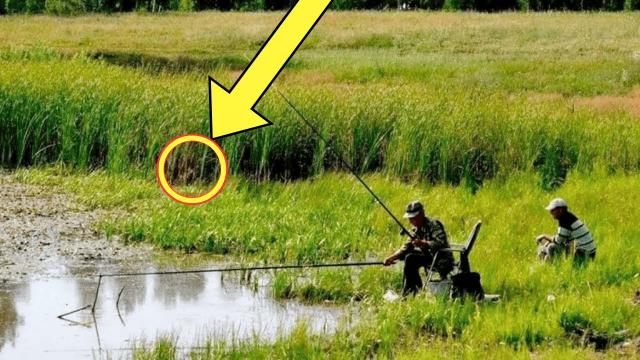 Brothers Were Fishing Quietly – If This Hadn’t Been Filmed, No One Would’ve Believed It