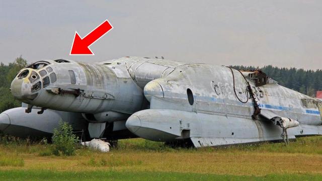 Abandoned Military Aircraft Found. Investigators Turn Pale After Going Inside