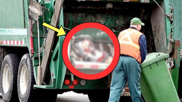 Garbage Man Hears Sound From Garbage Truck - He Turns Pale When He Sees What It Is