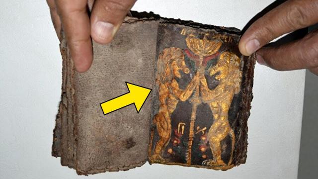 Pawnshop Owner Is Amazed When Expert Identifies Boy’s Grandmother’s Book As A Rare Artifact