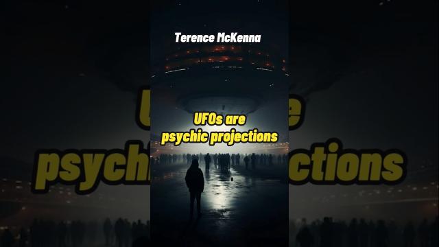 Terence McKenna - UFOs as psychic projections from our own minds #shorts #status