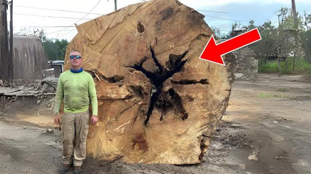 Neighbour Still Cuts Down Tree Despite Warning, Learns A Costly Lesson