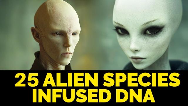 Aline Races Involved in Hybridization | Secret UFO & ET Knowledge Compilation