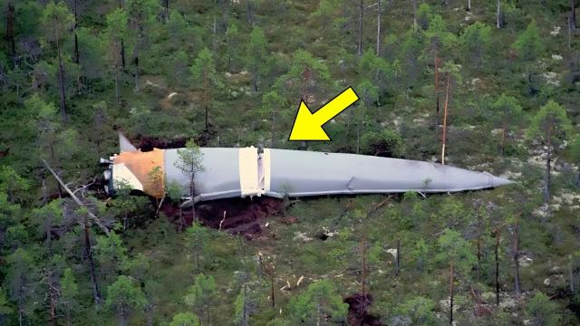 Man Finds Giant Rocket In Forest, Mouth Falls Open When He Sees What's Inside